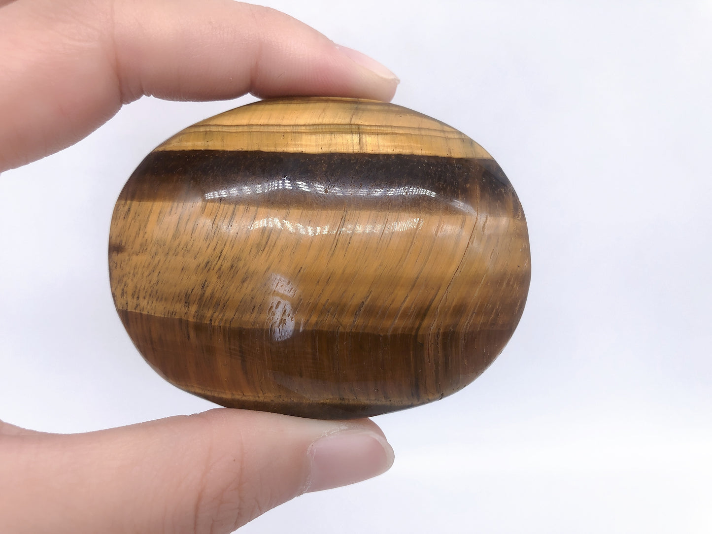 Yellow tiger eyes palm