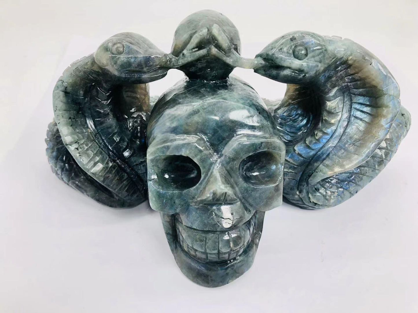 Lab skull with two snakes carving