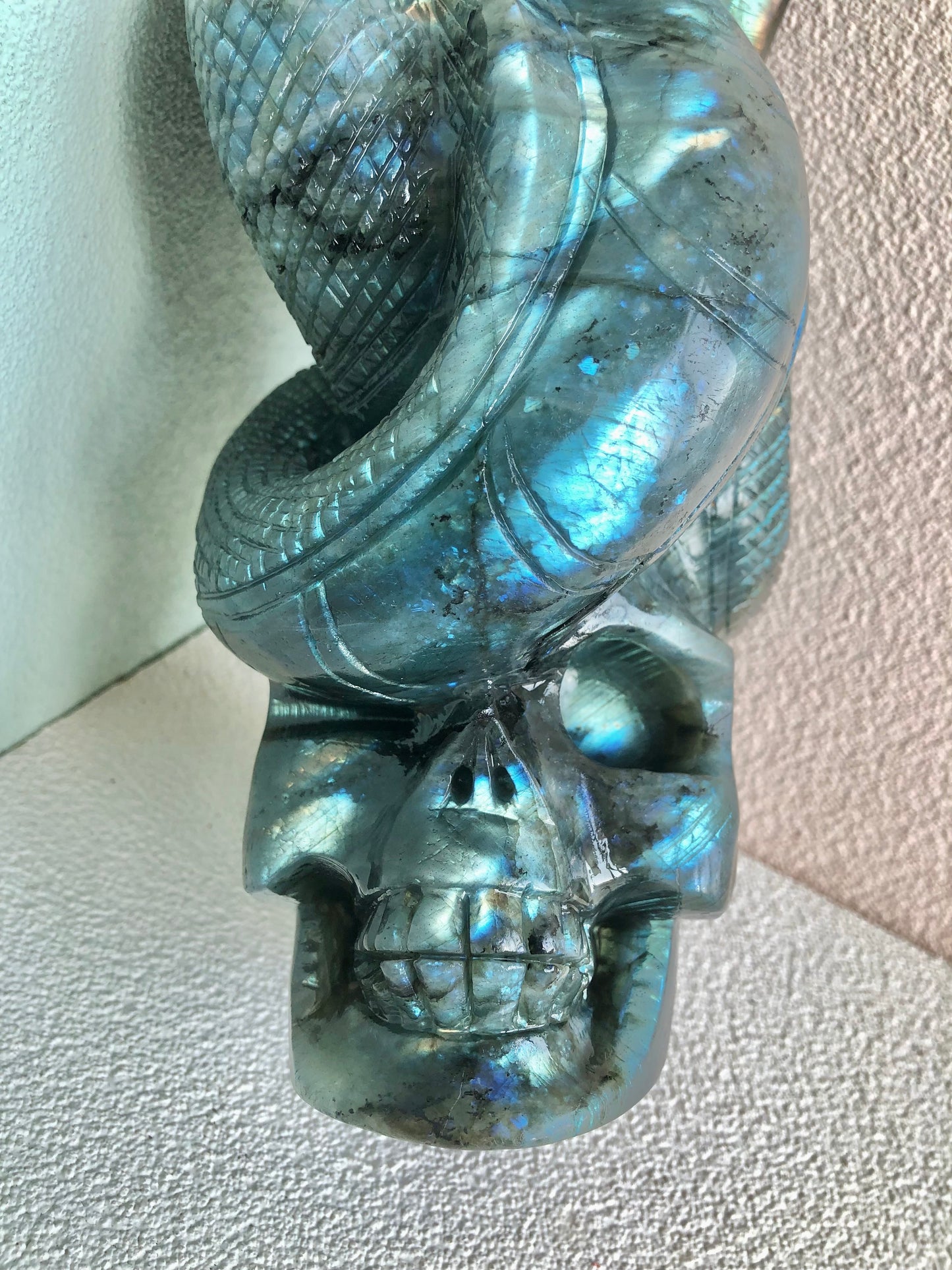 Lab skull with snake carving