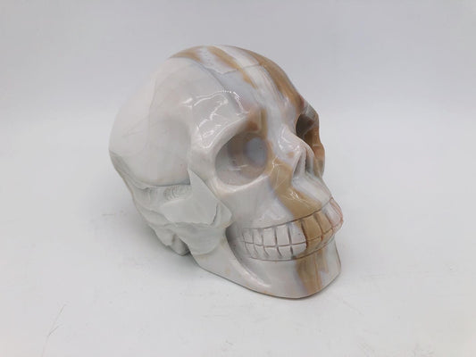 Jasper skull