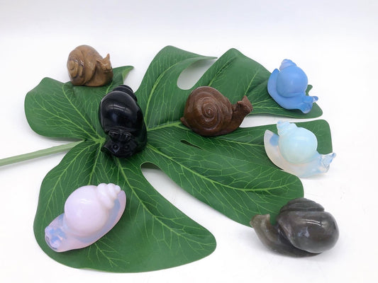 Snail carving