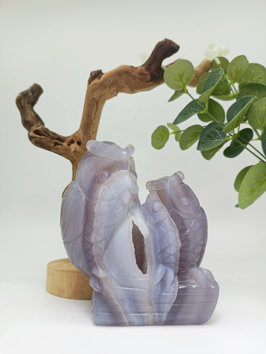 Druzy agate owl carving