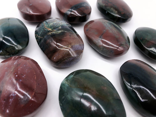 Ocean jasper palm