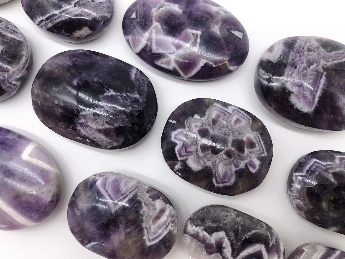 Dream amethyst palm