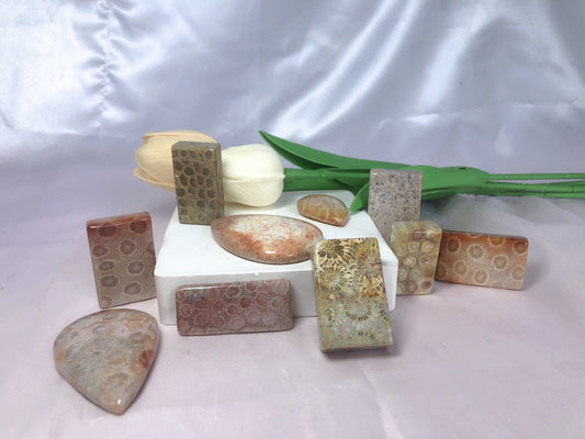 Coral jade