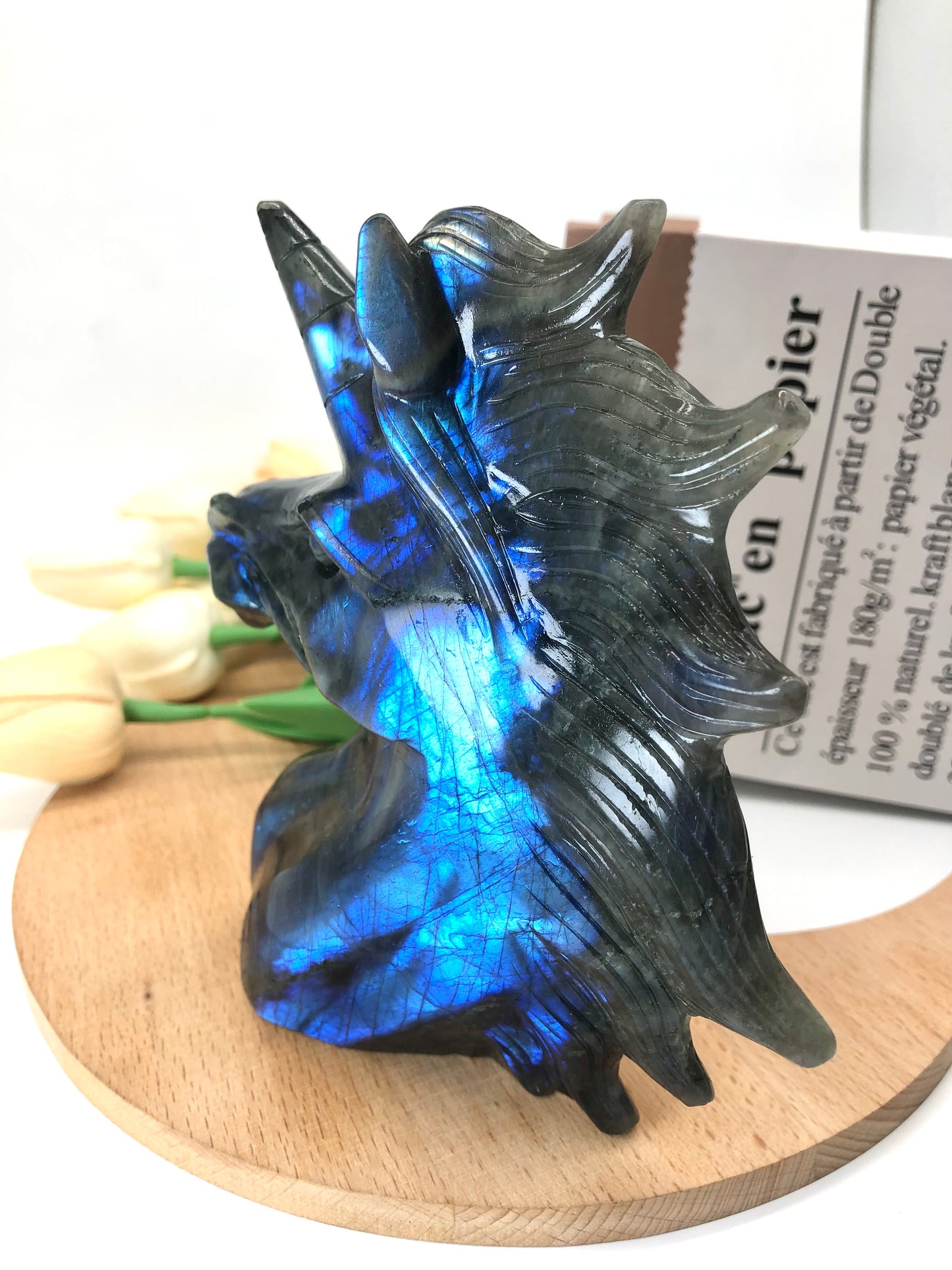 Lab unicorn carving