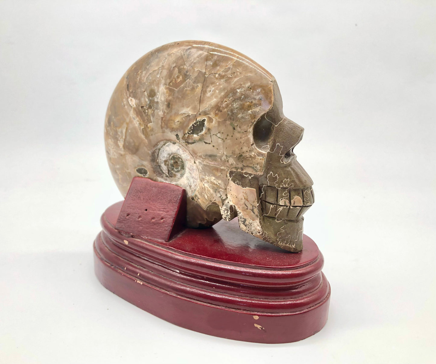 Skull carving