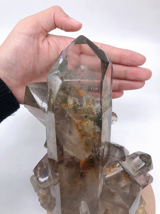 Smoky quartz witn garden quartz raw